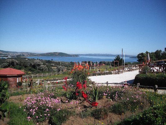Fotografía 5 de Cabañas Chucao - Ancud en Ancud, Los Lagos