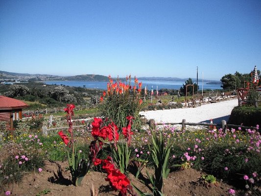 Fotografía 6 de Cabañas Chucao - Ancud en Ancud, Los Lagos