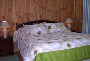 Fotografía 12 de Cabañas Vegmont en Pinto, Bio Bio