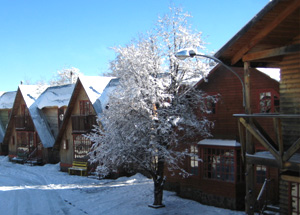 Fotografía 4 de Cabañas Vegmont en Pinto, Bio Bio