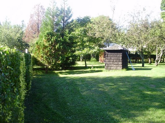 Fotografía 3 de Cabañas Terranostra en Cunco, Araucania