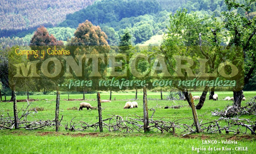 Cabañas Montecarlo en Lanco, Los Rios