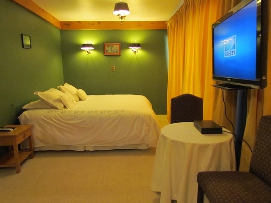 Cabañas Coñaripe Termas & Spa en Panguipulli, Los Rios