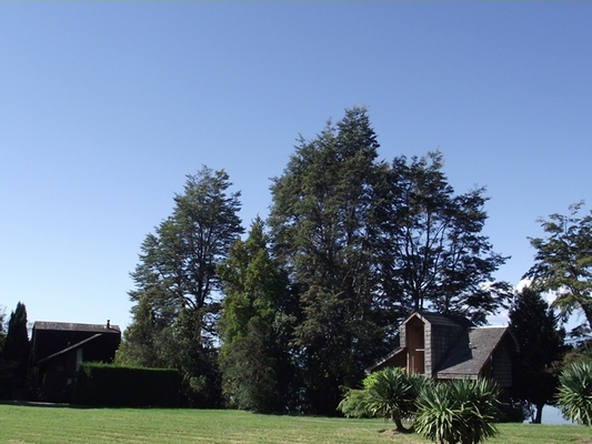 Fotografía 9 de Cabañas No Me Olvides en Puyehue, Los Lagos