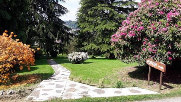 Fotografía 5 de Cabañas Parque Del Lago en Panguipulli, Los Rios