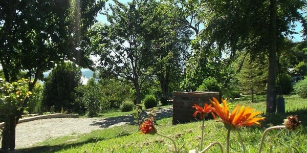 Fotografía 6 de Cabañas Puchaley Lafquen en Panguipulli, Los Rios