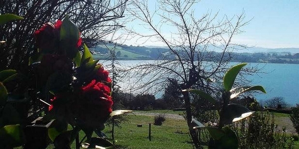 Fotografía 9 de Cabañas Puchaley Lafquen en Panguipulli, Los Rios