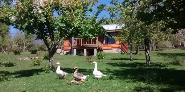 Fotografía 19 de Cabañas Puchaley Lafquen en Panguipulli, Los Rios
