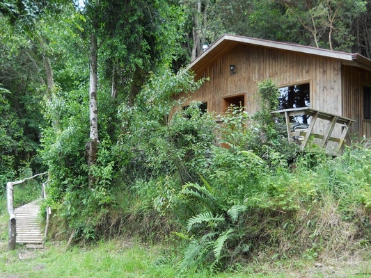 Fotografía 6 de Cabañas Puelcura en Futrono, Los Rios