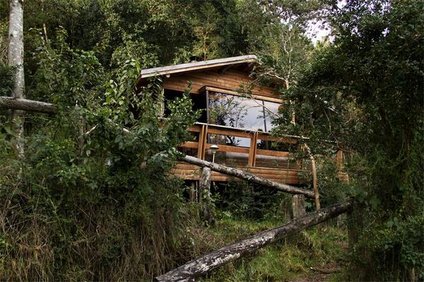 Fotografía 9 de Cabañas Puelcura en Futrono, Los Rios