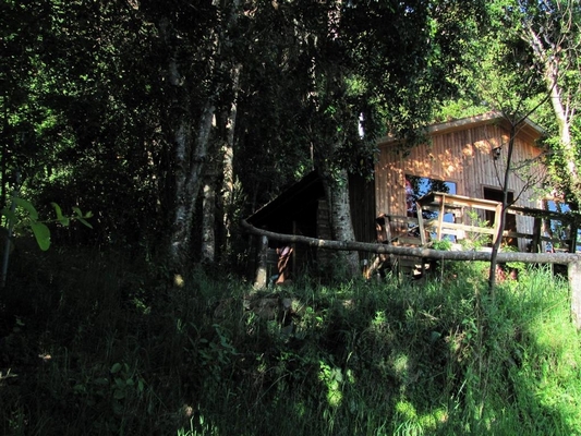 Fotografía 12 de Cabañas Puelcura en Futrono, Los Rios