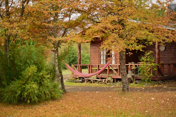 Fotografía 2 de Cabañas Ruca Pehuen en Curacautin, Araucania