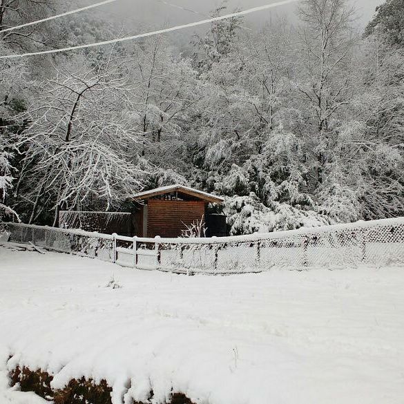 Fotografía 5 de Cabañas Santa Elvira De Tracura en Melipeuco, Araucania