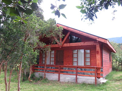 Fotografía 3 de Cabañas Terraparaiso en Futrono, Los Rios