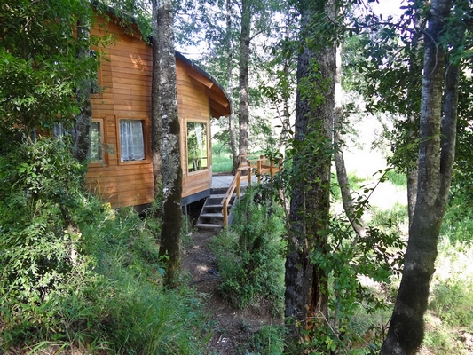 Fotografía 6 de Patagonia Mawida Cabañas en Panguipulli, Los Rios