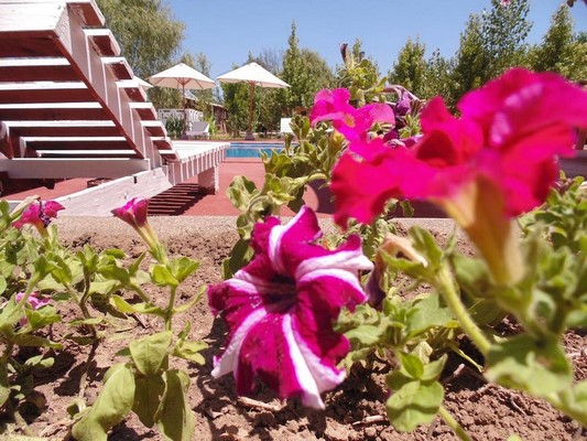 Fotografía 19 de Cabañas Antemavida en Colbun, Maule