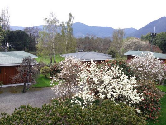 Fotografía 14 de Cabañas Los Tilos en Pucon, Araucania