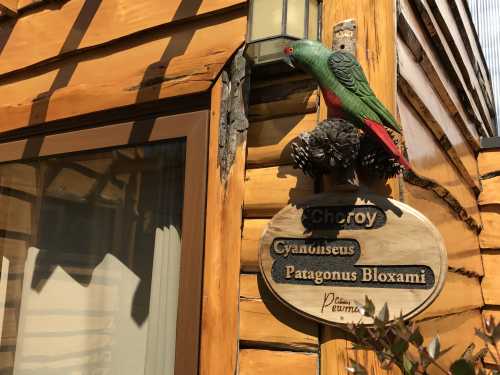 Fotografía 7 de Cabañas Pewma en Futrono, Los Rios