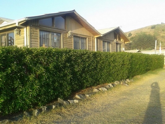 Fotografía 5 de Cabañas Llafkelen en Licanten, Maule