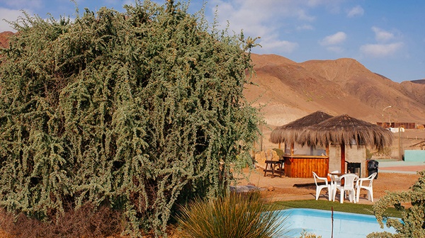 Fotografía 20 de Cabañas Caleta Hueso en Taltal, Antofagasta