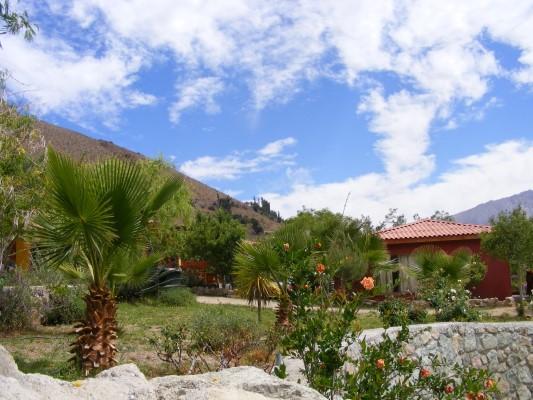 Fotografía 9 de Cabañas Pisco Elqui en Paihuano, Coquimbo