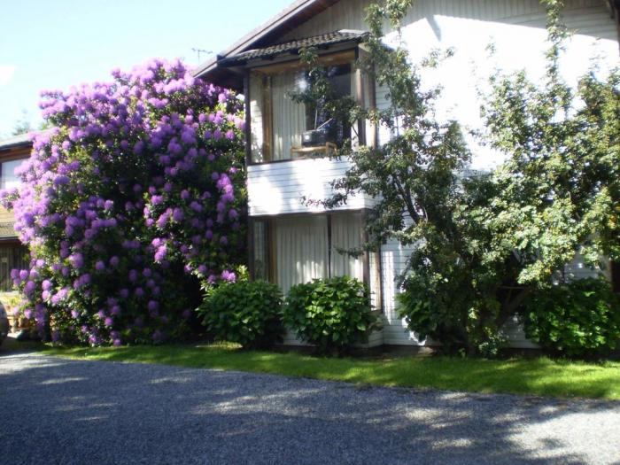Cabañas Mapulay en Pucon, Araucania