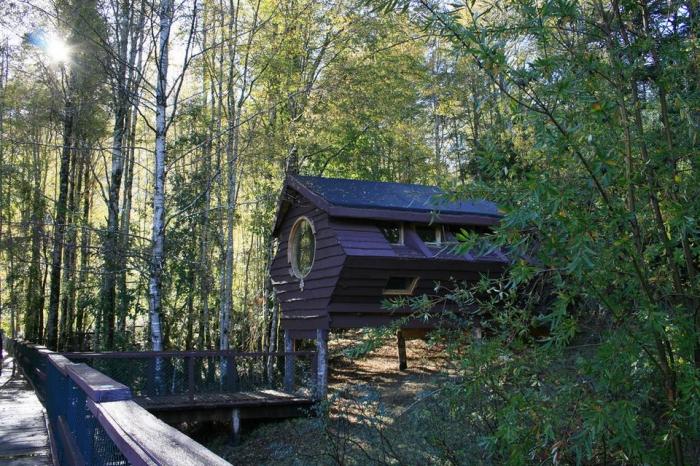 Fotografía 2 de Huilo Huilo Canopy Village en Panguipulli, Los Rios