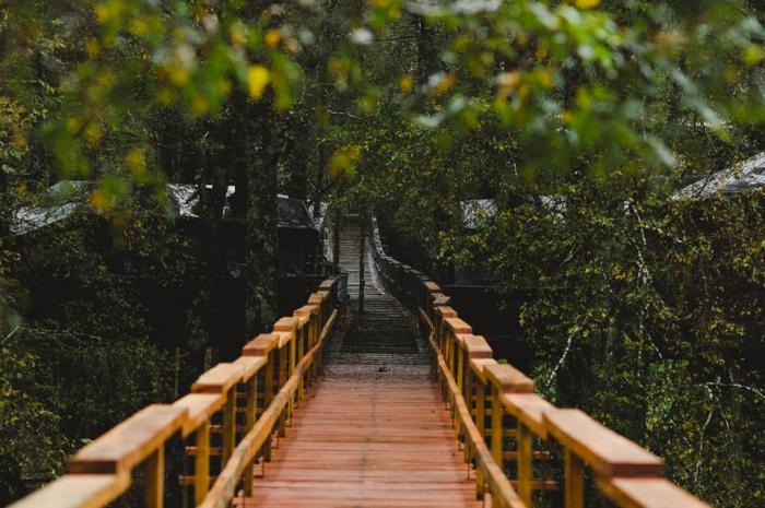 Fotografía 6 de Huilo Huilo Canopy Village en Panguipulli, Los Rios