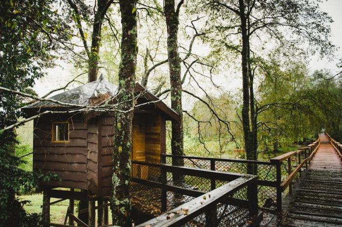 Fotografía 12 de Huilo Huilo Canopy Village en Panguipulli, Los Rios