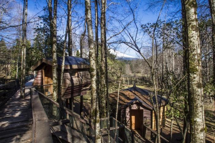 Fotografía 14 de Huilo Huilo Canopy Village en Panguipulli, Los Rios