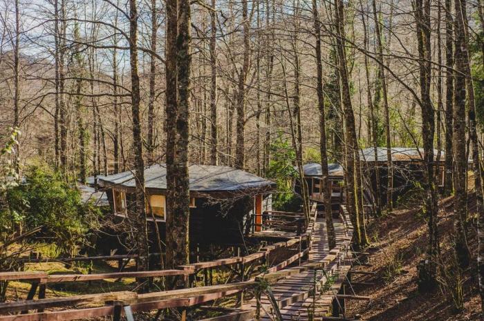 Fotografía 18 de Huilo Huilo Canopy Village en Panguipulli, Los Rios