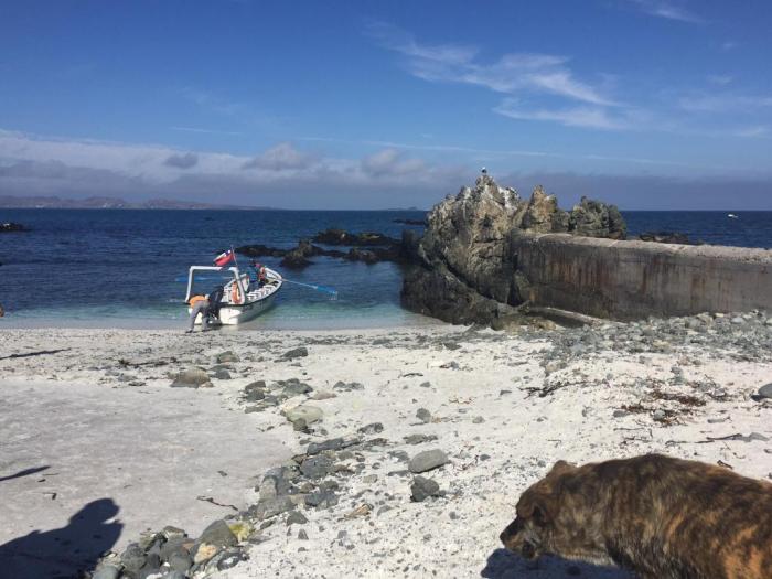 Fotografía 10 de Cabañas Memo Ruz en La Higuera, Coquimbo
