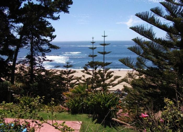Fotografía 8 de Cabañas Turísticas Los Lobos en El Quisco, Valparaiso