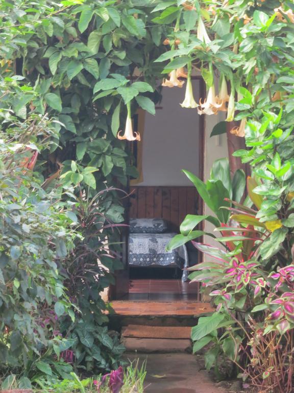 Fotografía 9 de Cabañas Napohe en Isla De Pascua, Valparaiso