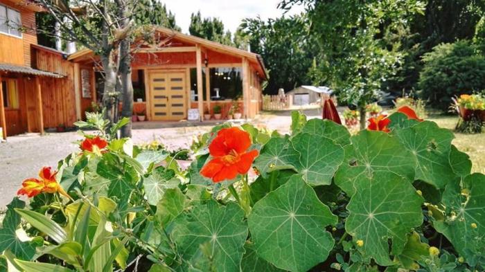 Fotografía 10 de Cabañas Parcela Doña Leo en Rio Ibañez, Aysen
