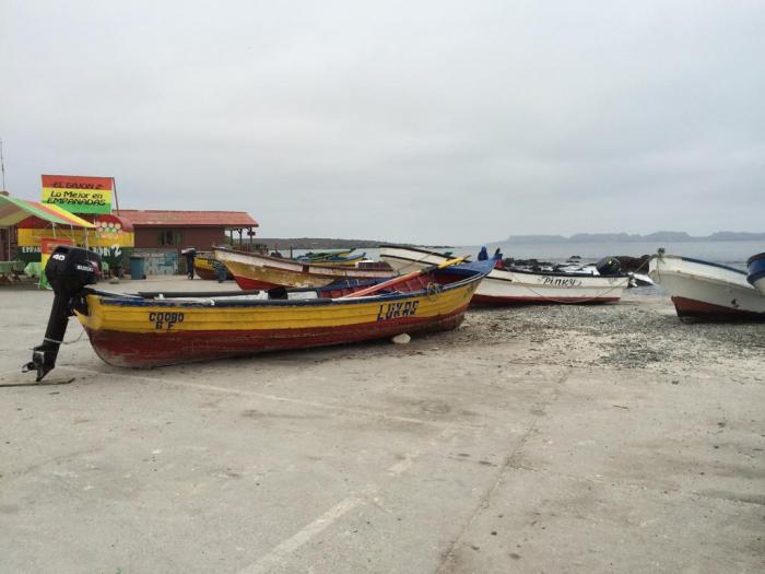 Fotografía 6 de Casa Ananda Cabañas y Terapias en La Higuera, Coquimbo