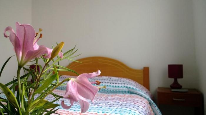 Fotografía 7 de Hostal Lacroix  en Viña Del Mar, Valparaiso