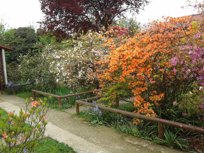 Fotografía 2 de Cabañas El Jardin en Valdivia, Los Rios