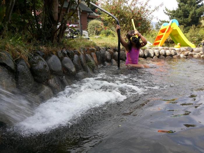 Fotografía 12 de Cabañas Altocaburgua en Pucon, Araucania