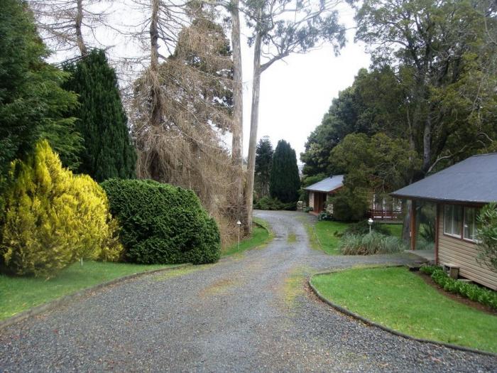 Fotografía 5 de Cabañas Altue en Puerto Varas, Los Lagos