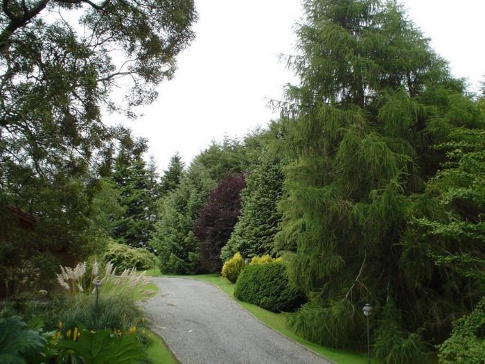 Fotografía 6 de Cabañas Altue en Puerto Varas, Los Lagos