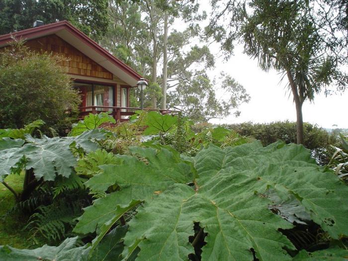 Fotografía 10 de Cabañas Altue en Puerto Varas, Los Lagos