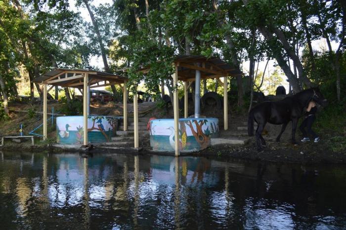 Fotografía 14 de Cabañas Coyunche en Laja, Bio Bio