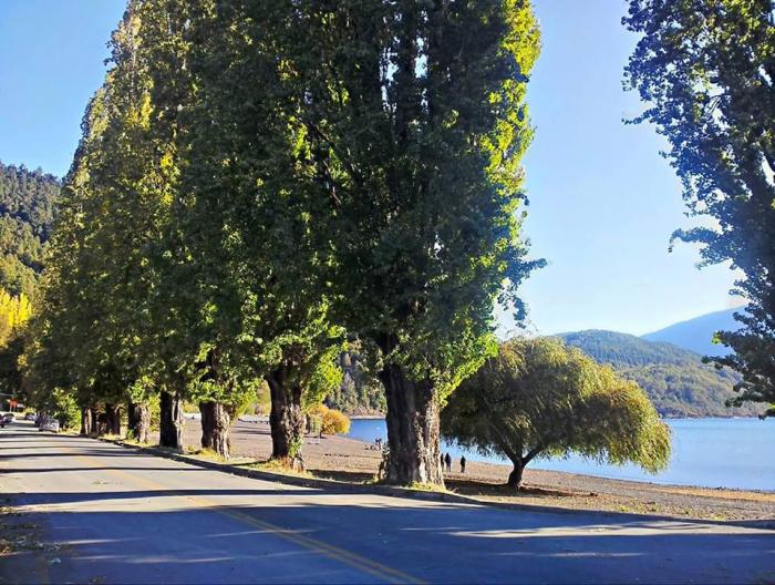 Fotografía 20 de Cabañas doña betty en Panguipulli, Los Rios