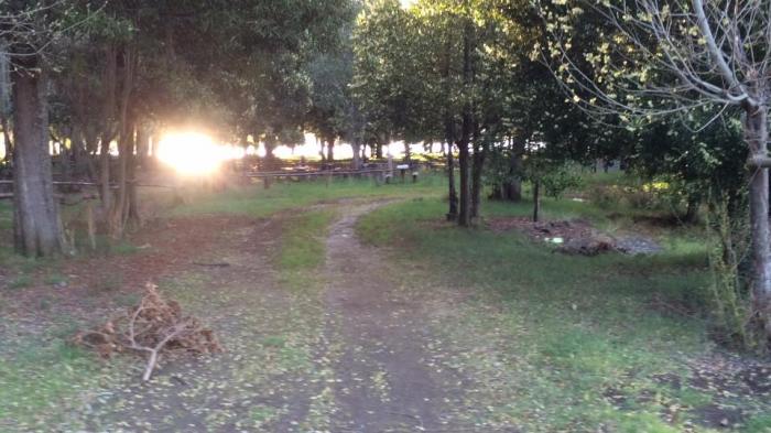 Fotografía 4 de Ecocamping y Cabañas Áisoleufu en Panguipulli, Los Rios