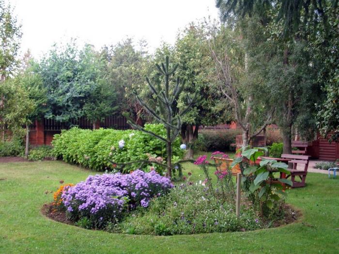 Fotografía 12 de Cabañas El Lucero en Pucon, Araucania