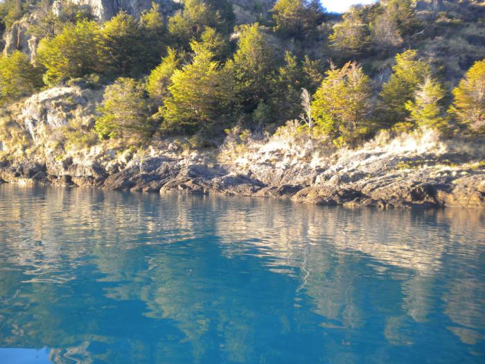 Fotografía 11 de Cabañas Puerto Río Tranquilo en Rio Ibañez, Aysen