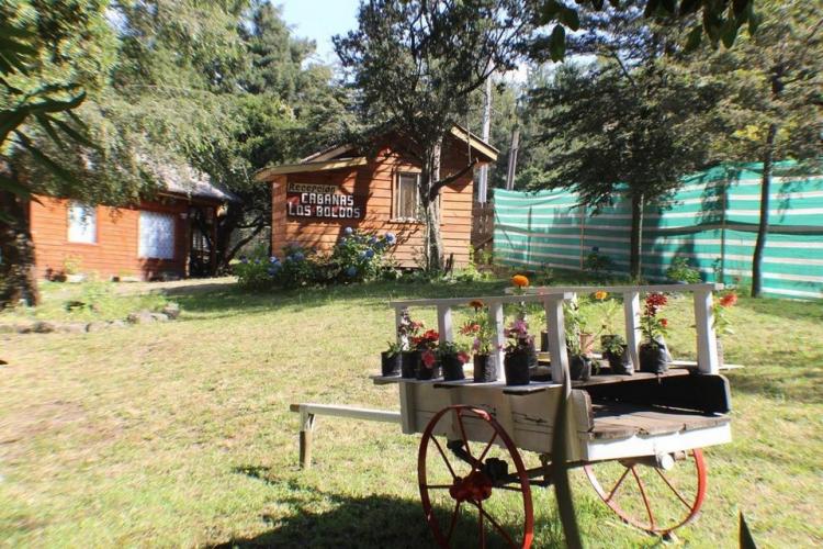 Cabañas Los Boldos de Pucón en Pucon, Araucania