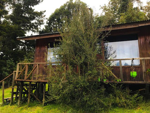 Fotografía 6 de Cabañas Mandala en Puerto Montt, Los Lagos