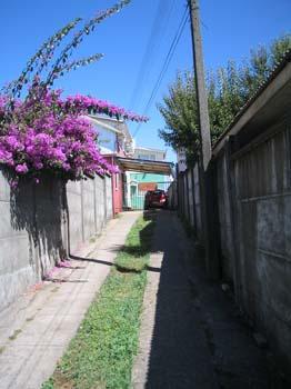 Fotografía 11 de Departamentos Turisticos Mi Hogar en Valdivia, Los Rios